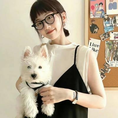 公园里的石头